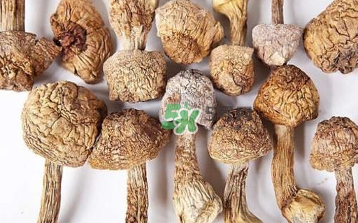 干松茸要泡多久？干松茸用冷水泡還是溫水泡好