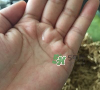 菌菇水是哪個(gè)國(guó)家的？悅木之源菌菇水是日本的嗎