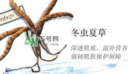 菌菇水是哪個(gè)國(guó)家的？悅木之源菌菇水是日本的嗎