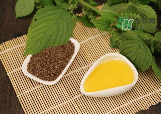 紫蘇水可以天天用嗎？紫蘇水的功效與作用