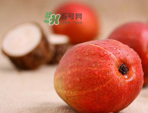 紅啤梨怎么放軟_紅啤梨怎么催熟_紅啤梨怎么才算軟熟了 紅啤梨怎么放軟_紅啤梨怎么催熟_紅啤梨怎么才算軟熟了