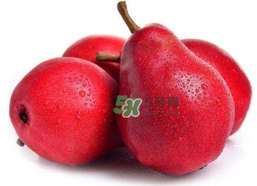 紅啤梨好吃嗎_紅啤梨可以吃皮嗎_紅啤梨可以直接吃嗎 紅啤梨好吃嗎_紅啤梨可以吃皮嗎_紅啤梨可以直接吃嗎