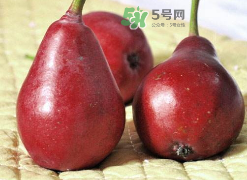 紅啤梨好吃嗎_紅啤梨可以吃皮嗎_紅啤梨可以直接吃嗎 紅啤梨好吃嗎_紅啤梨可以吃皮嗎_紅啤梨可以直接吃嗎