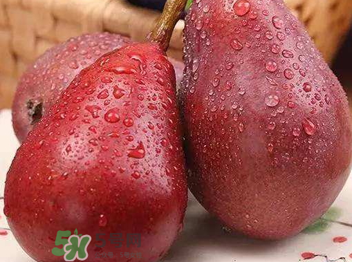 紅啤梨什么時(shí)候成熟？紅啤梨產(chǎn)地在哪？