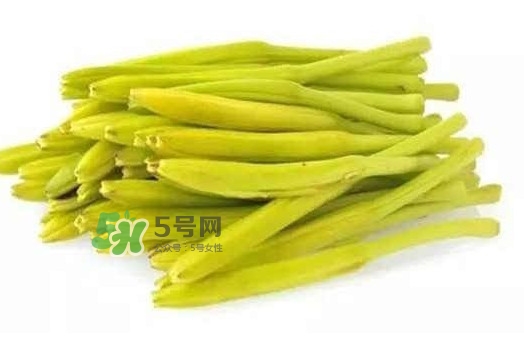 黃花菜是忘憂草嗎？黃花菜是不是金針菜