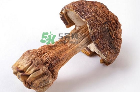 產(chǎn)婦能吃松茸嗎？哺乳期可以吃松茸嗎