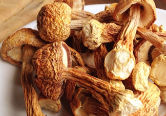 干松茸怎么清洗？干松茸如何辨別真?zhèn)?><p><strong>干松茸怎么清洗？干松茸如何辨別真?zhèn)?/strong></p></a></li> <li><a href=