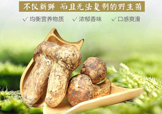 新鮮松茸怎么挑選？干松茸如何挑選