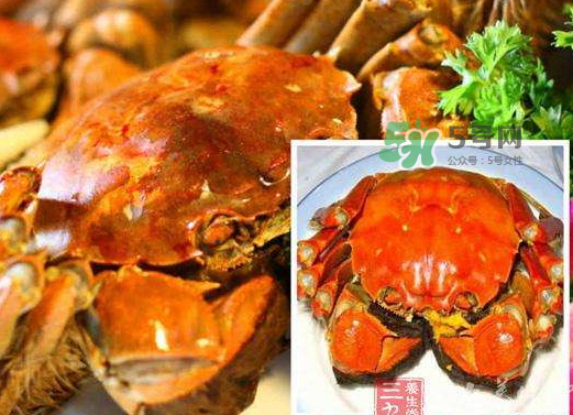 紅印蟹怎么回事？紅印蟹有什么不同？