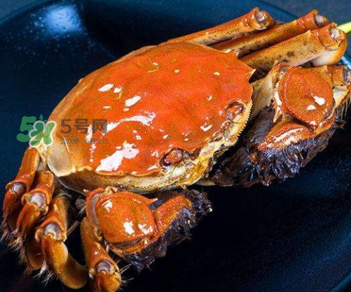 河蟹為什么苦_河蟹黃為什么苦_河蟹苦可以吃嗎 河蟹為什么苦_河蟹黃為什么苦_河蟹苦可以吃嗎