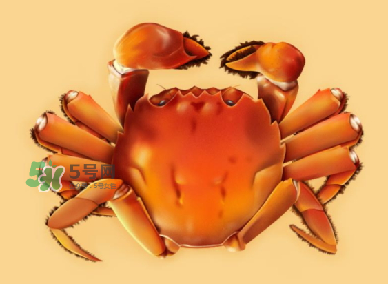 河蟹可以煮嗎？河蟹煮多長(zhǎng)時(shí)間？