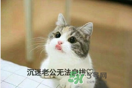 南方老公和東北老公哪個好？南方老公和東北老公的區(qū)別