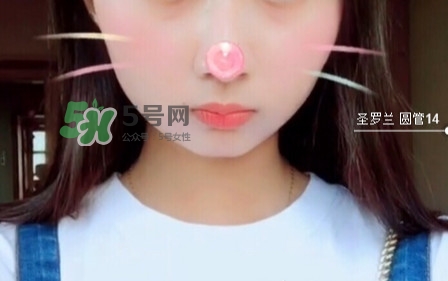 圣羅蘭圓管14號試色 ysl圓管14是什么顏色 圣羅蘭圓管14號試色 ysl圓管14是什么顏色