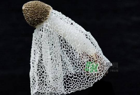 竹蓀有毒嗎？什么樣的竹蓀不能吃