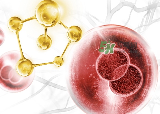 olay大紅瓶新版舊版哪個好？olay玉蘭油大紅瓶新版舊版區(qū)別