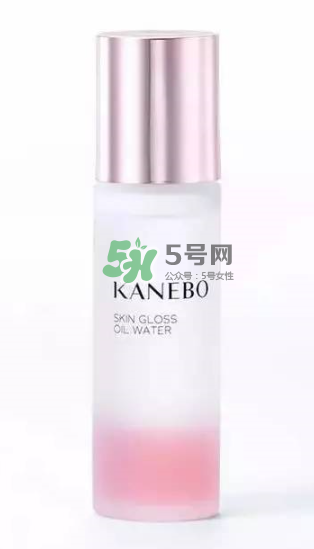 KANEBO嘉娜寶SKIN GLOSS OIL精華水價格_日本價格 KANEBO嘉娜寶SKIN GLOSS OIL精華水價格_日本價格