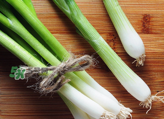 大蔥是蔥黃嗎？大蔥和蔥黃的區(qū)別