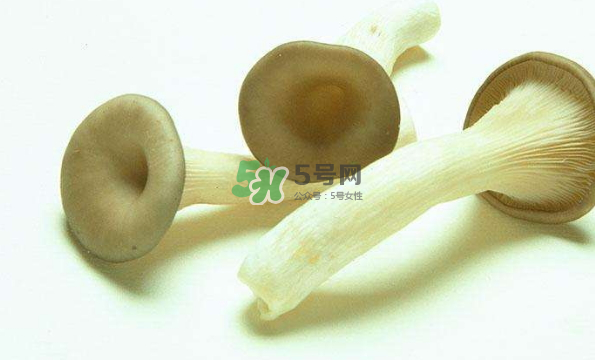 蘑菇不能和茄子一起吃嗎？蘑菇不能和什么一起吃？