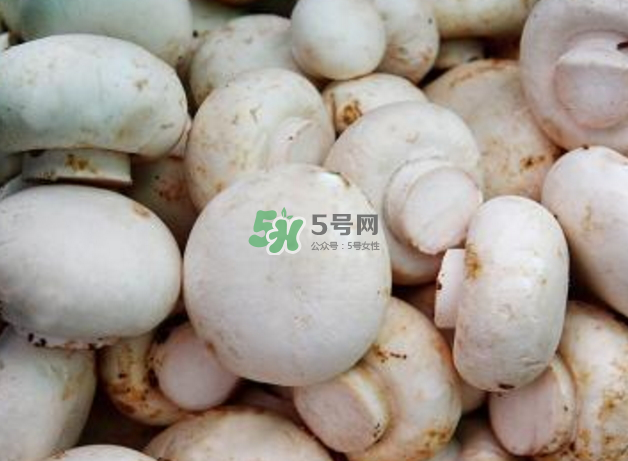 蘑菇變黑了還能吃嗎？蘑菇怎么保存？