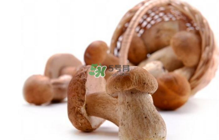 蘑菇能放冰箱嗎？蘑菇能放冰箱多長時間？