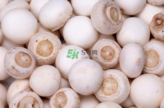 蘑菇能放冰箱嗎？蘑菇能放冰箱多長時間？