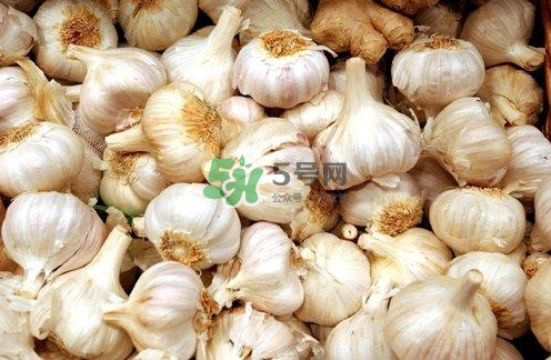 壽光大蒜有毒嗎？壽光毒大蔥事件