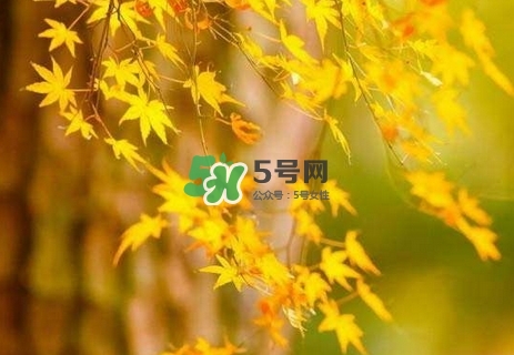 秋分是秋天到了嗎_秋分開始入秋了嗎_秋分是秋天開始嗎 秋分是秋天到了嗎_秋分開始入秋了嗎_秋分是秋天開始嗎