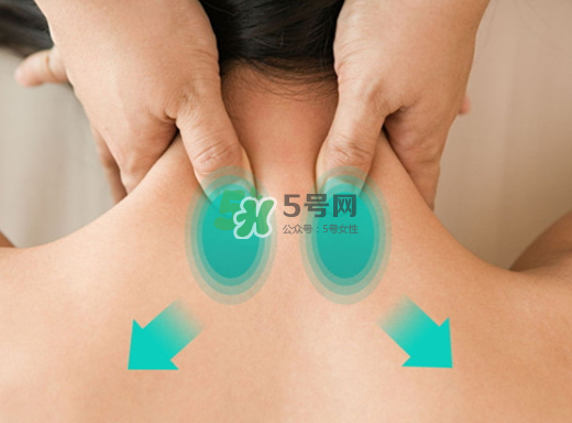 碧緹福護頸儀多少錢？碧緹福護頸儀價格