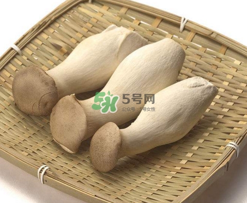 杏鮑菇用水焯嗎？杏鮑菇怎么做好吃