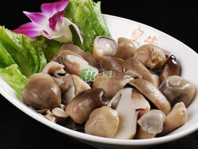 草菇孕婦能吃嗎？草菇要煮多久可以吃？