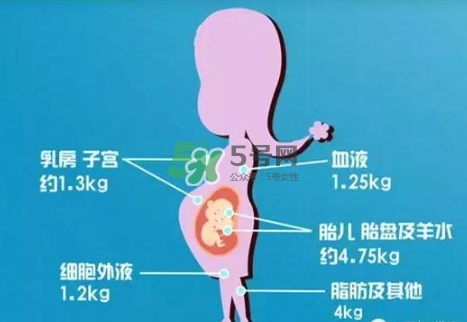 孕期體重增長標(biāo)準(zhǔn) 孕期體重增長過快怎么辦？