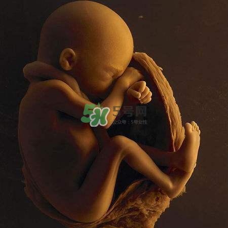 臍帶繞頸是什么意思？臍帶繞頸兩周怎么糾正？