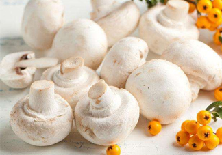 新鮮白蘑菇怎么做好吃？白蘑菇有什么好處