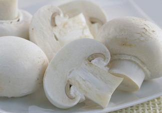 白蘑菇是什么蘑菇？白蘑菇有毒嗎