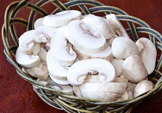 口蘑是發(fā)物嗎？口蘑是白蘑菇嗎