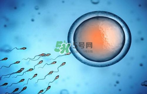 精子在女性體內(nèi)可以存活多久？男性的精子會(huì)枯竭嗎？