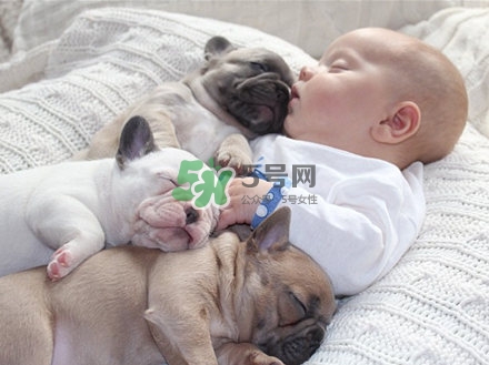 孕婦不能養(yǎng)寵物嗎？為什么孕婦不能養(yǎng)寵物？