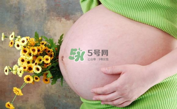 為什么孕婦的肚子有尖有圓？孕婦肚子尖圓對(duì)照?qǐng)D