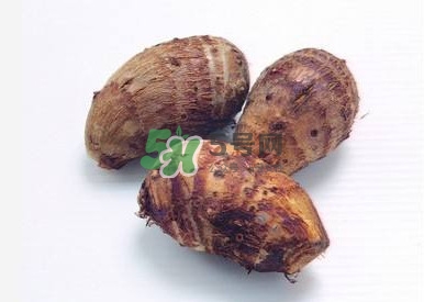 香芋是紫色的嗎？香芋是什么東西