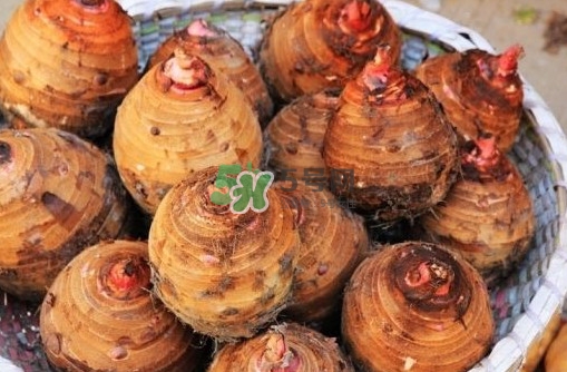 香芋是酸性還是堿性？香芋是涼性還是熱性？