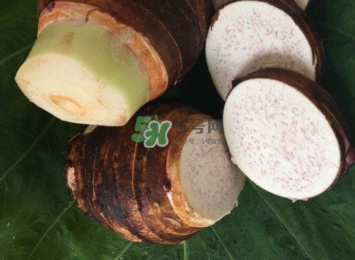 香芋如何種植？香芋的種植方法