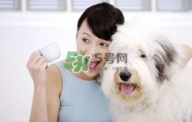 孕婦能養(yǎng)狗嗎？孕婦養(yǎng)狗注意事項