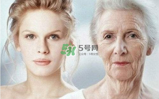 抗氧化是抗衰老嗎？抗氧化是不是就等于抗衰老？