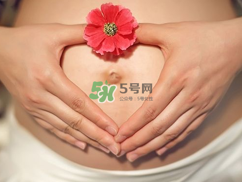 秋天孕婦可以吃絲瓜嗎？秋天孕婦吃絲瓜好嗎？