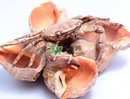 螃蟹殼里的東西是什么？螃蟹殼里什么不能吃？