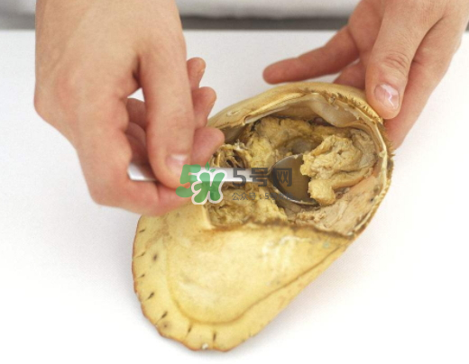 螃蟹殼里的東西是什么？螃蟹殼里什么不能吃？