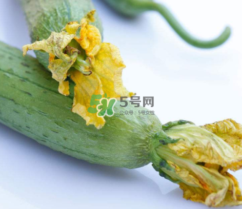 秋天絲瓜有毒嗎？秋天絲瓜能吃嗎？