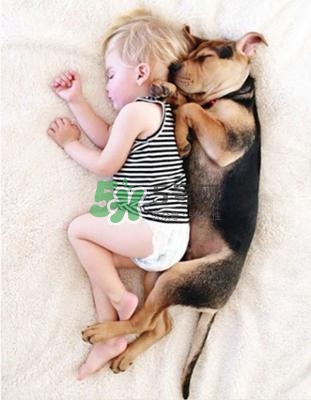 孕婦能養(yǎng)狗嗎？孕婦養(yǎng)狗注意事項