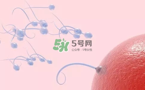 精子在女性體內(nèi)可以存活多久？男性的精子會(huì)枯竭嗎？