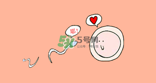 精子在女性體內(nèi)可以存活多久？男性的精子會(huì)枯竭嗎？